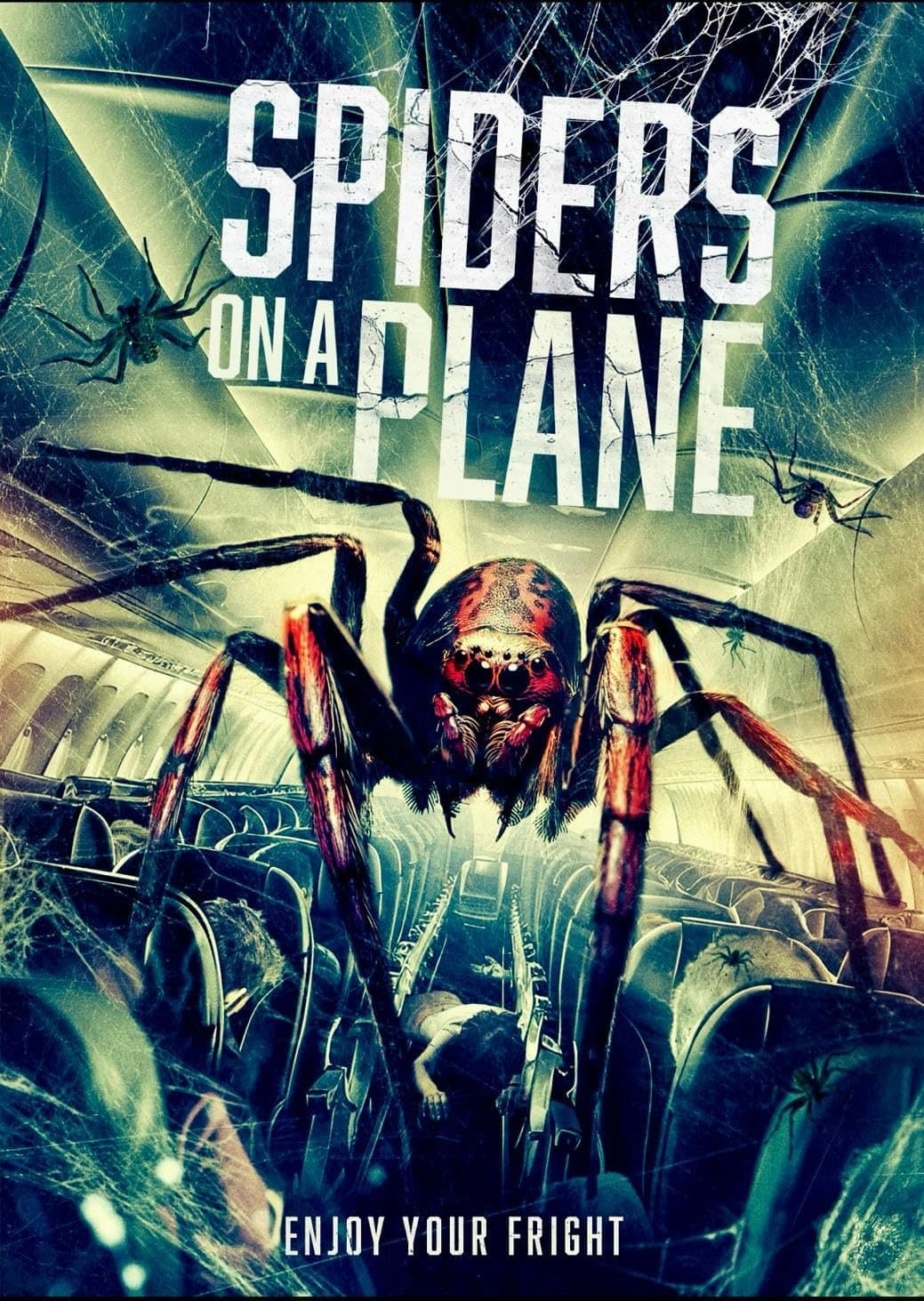 Poster Spiders on a Plane