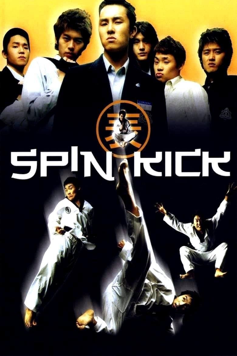 Poster Spin Kick