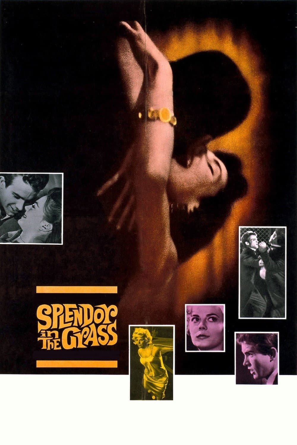 Poster Splendor in the Grass