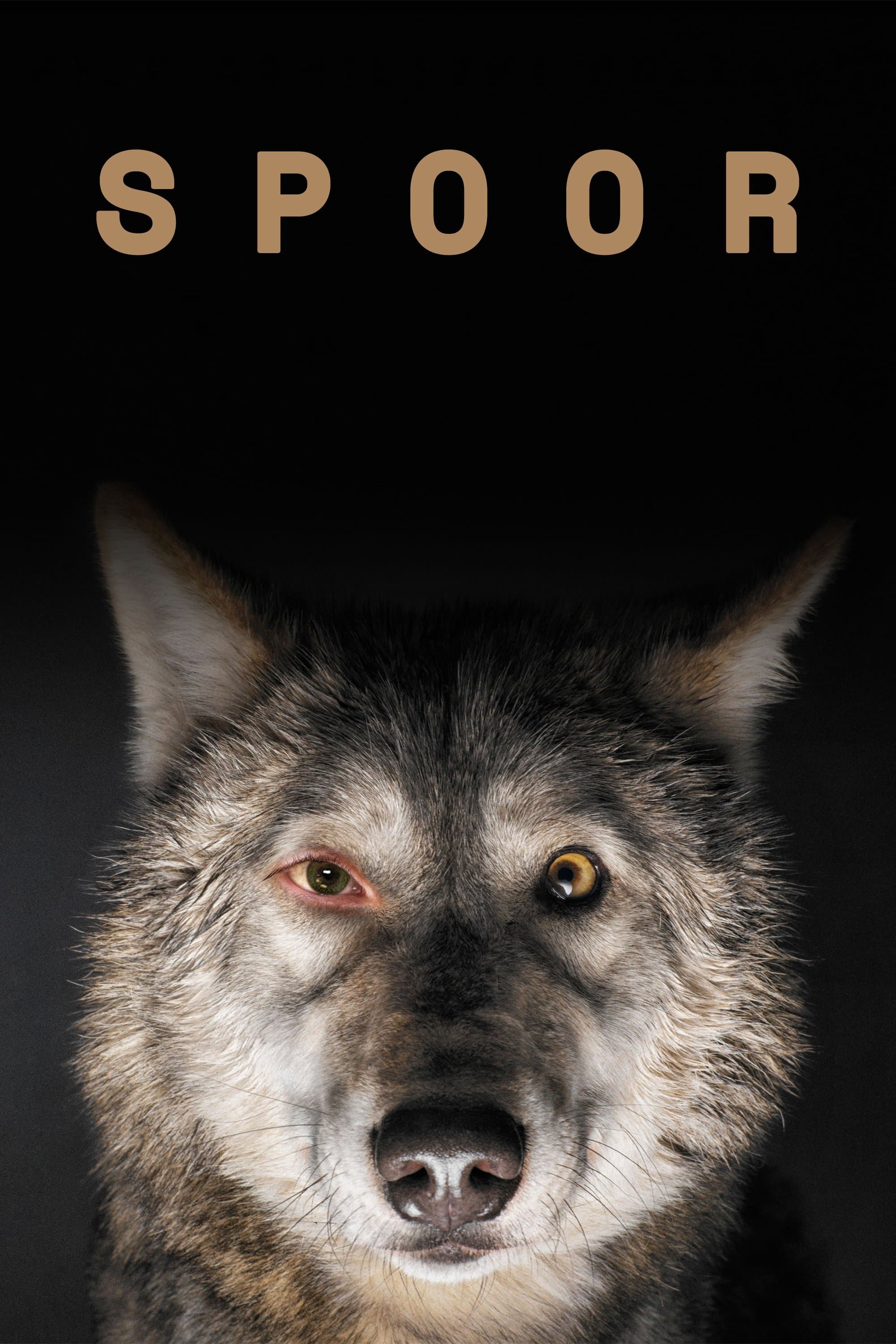 Poster Spoor