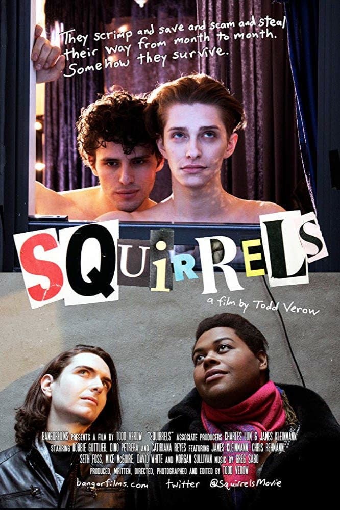 Poster Squirrels