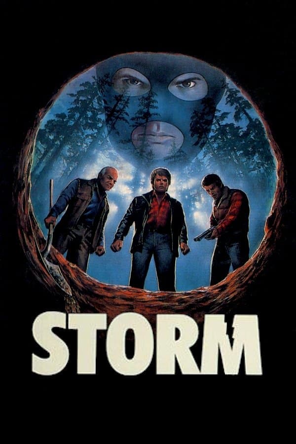 Poster Storm