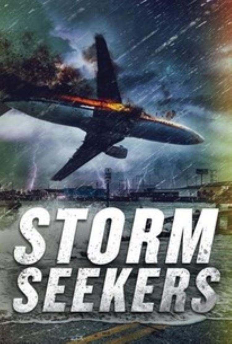 Poster Storm Seekers