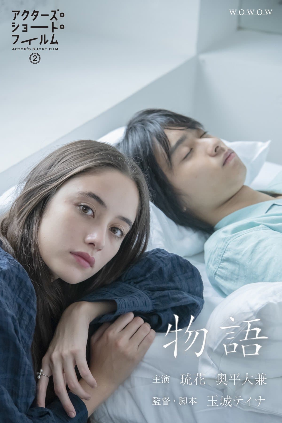 Poster Story