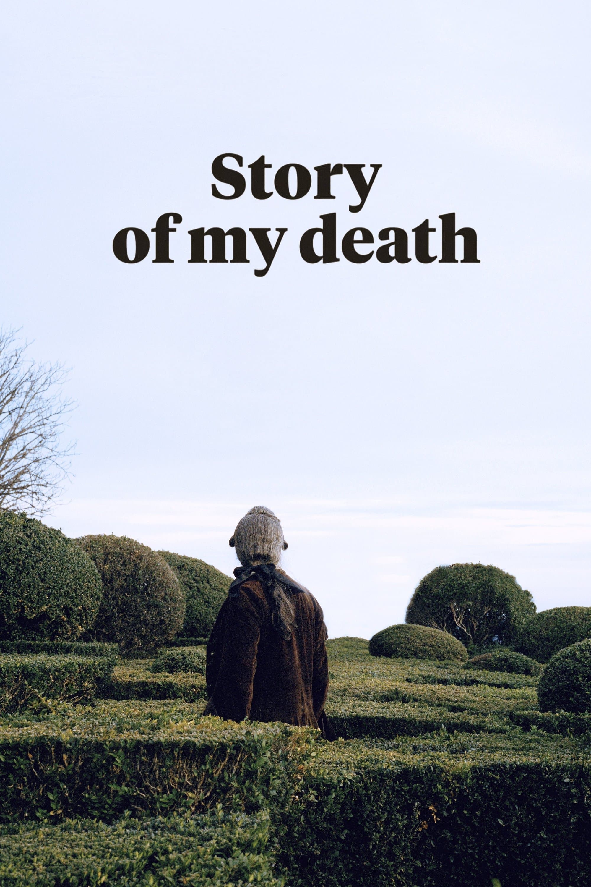 Poster Story of My Death