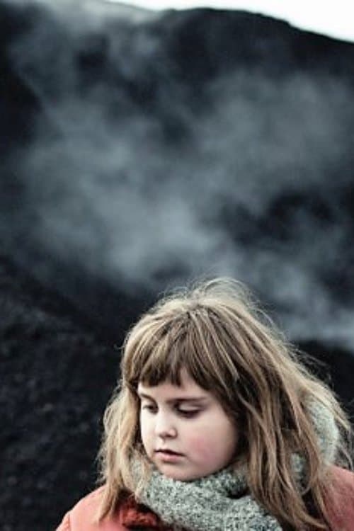 Poster Stray