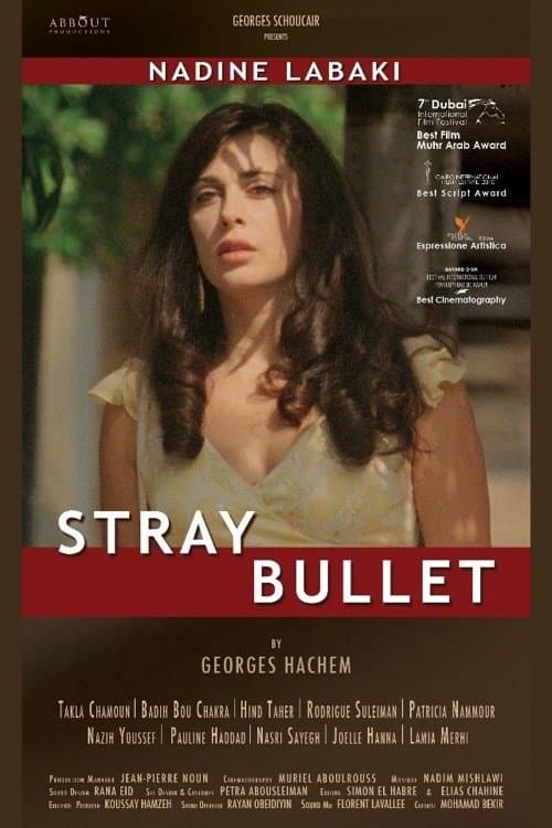 Poster Stray Bullet