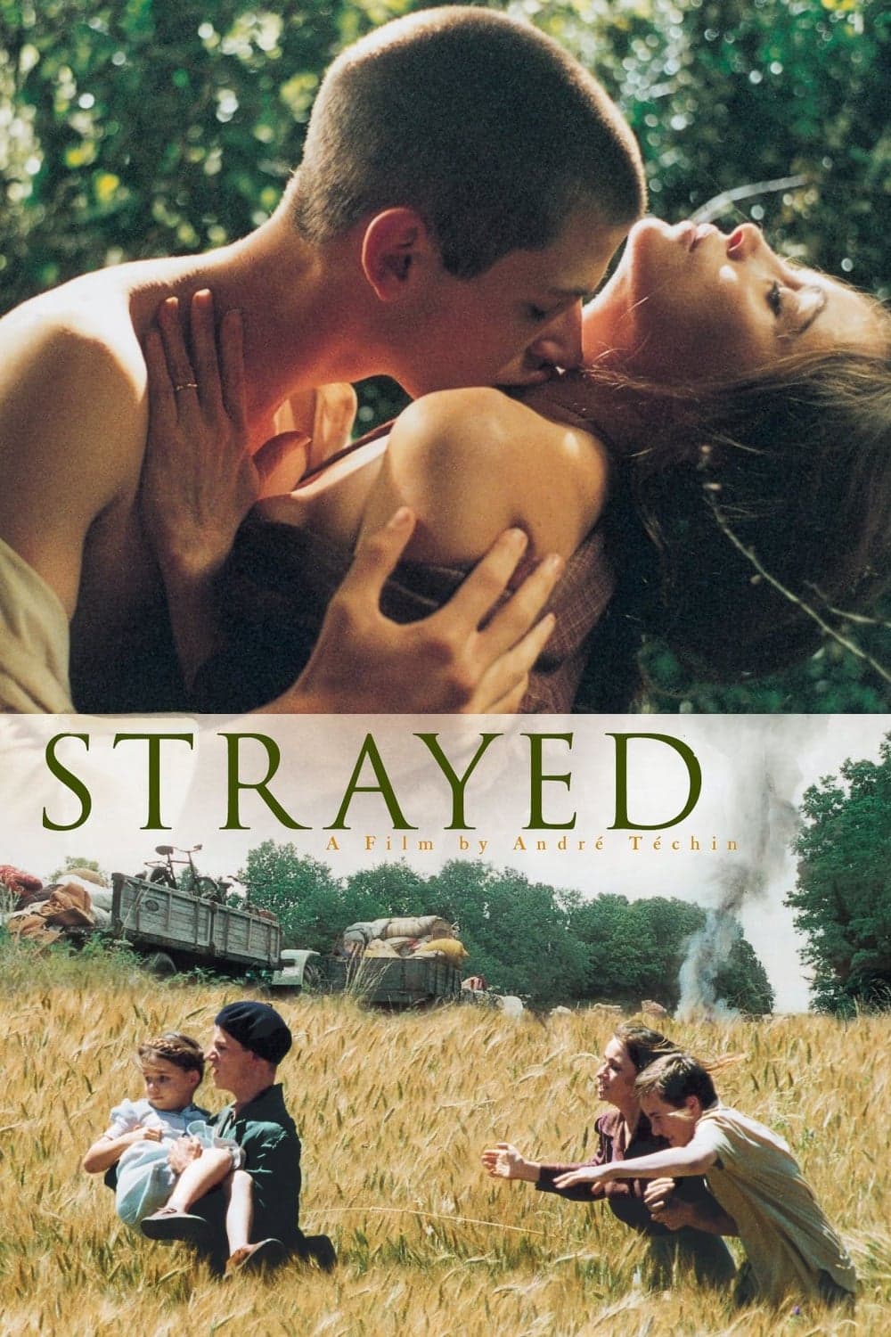 Poster Strayed