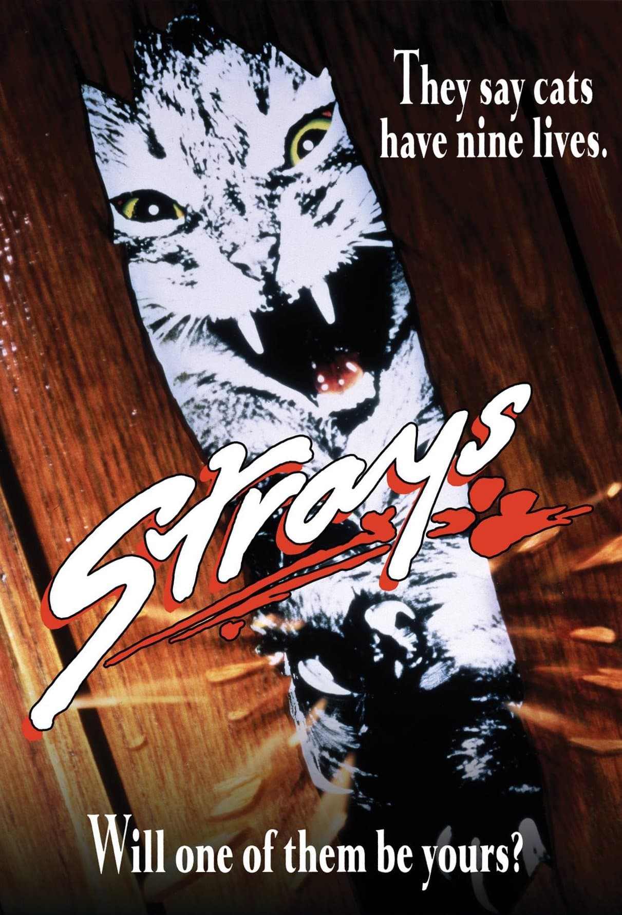 Poster Strays