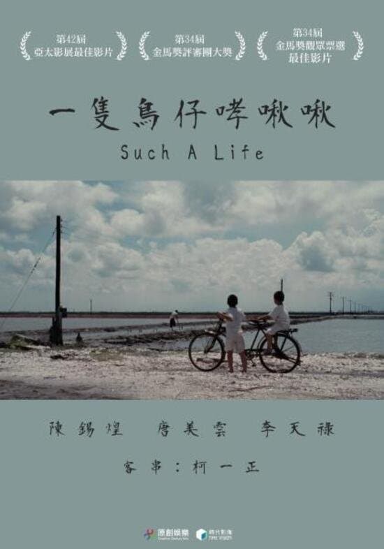 Poster Such a life