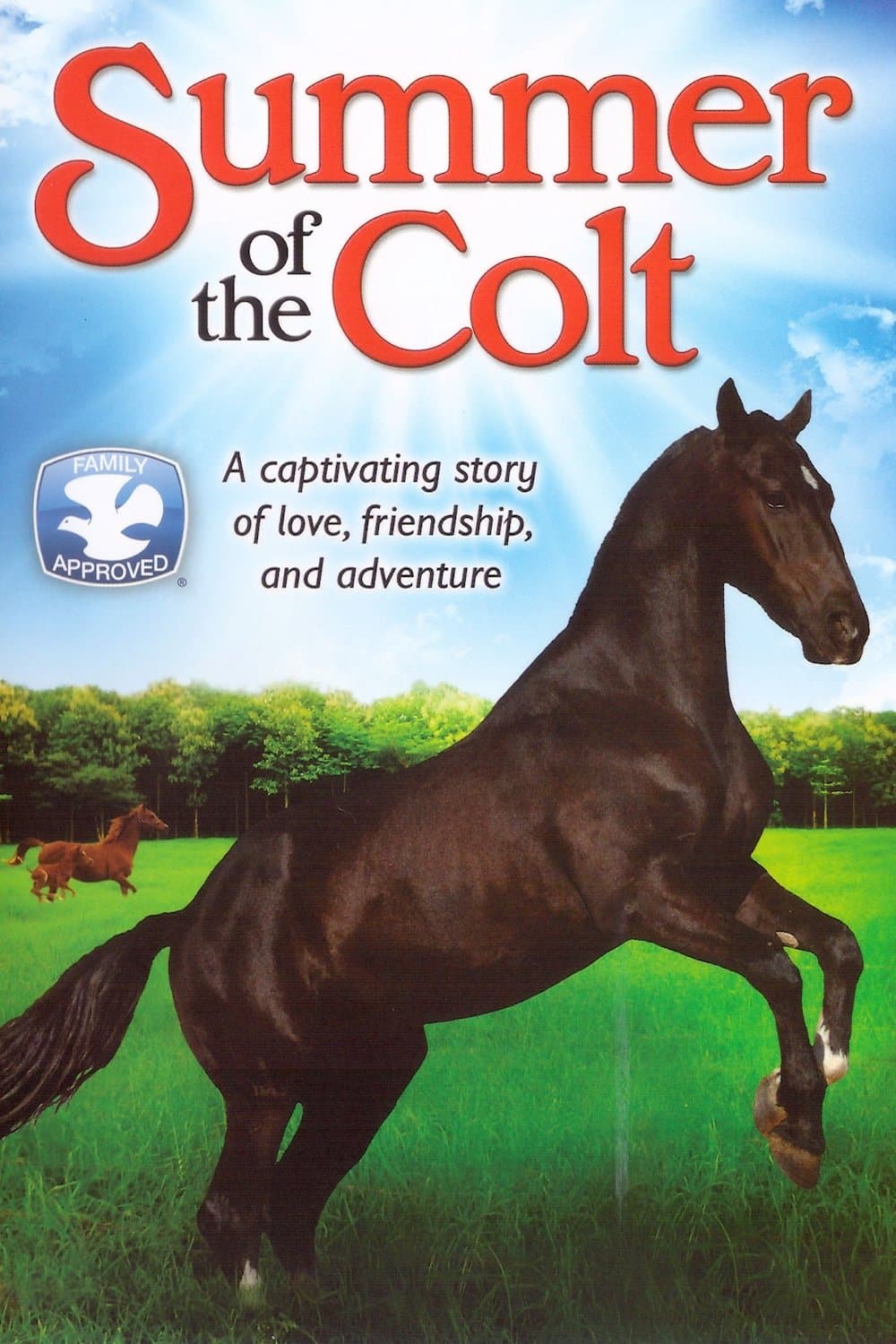 Poster Summer of the Colt