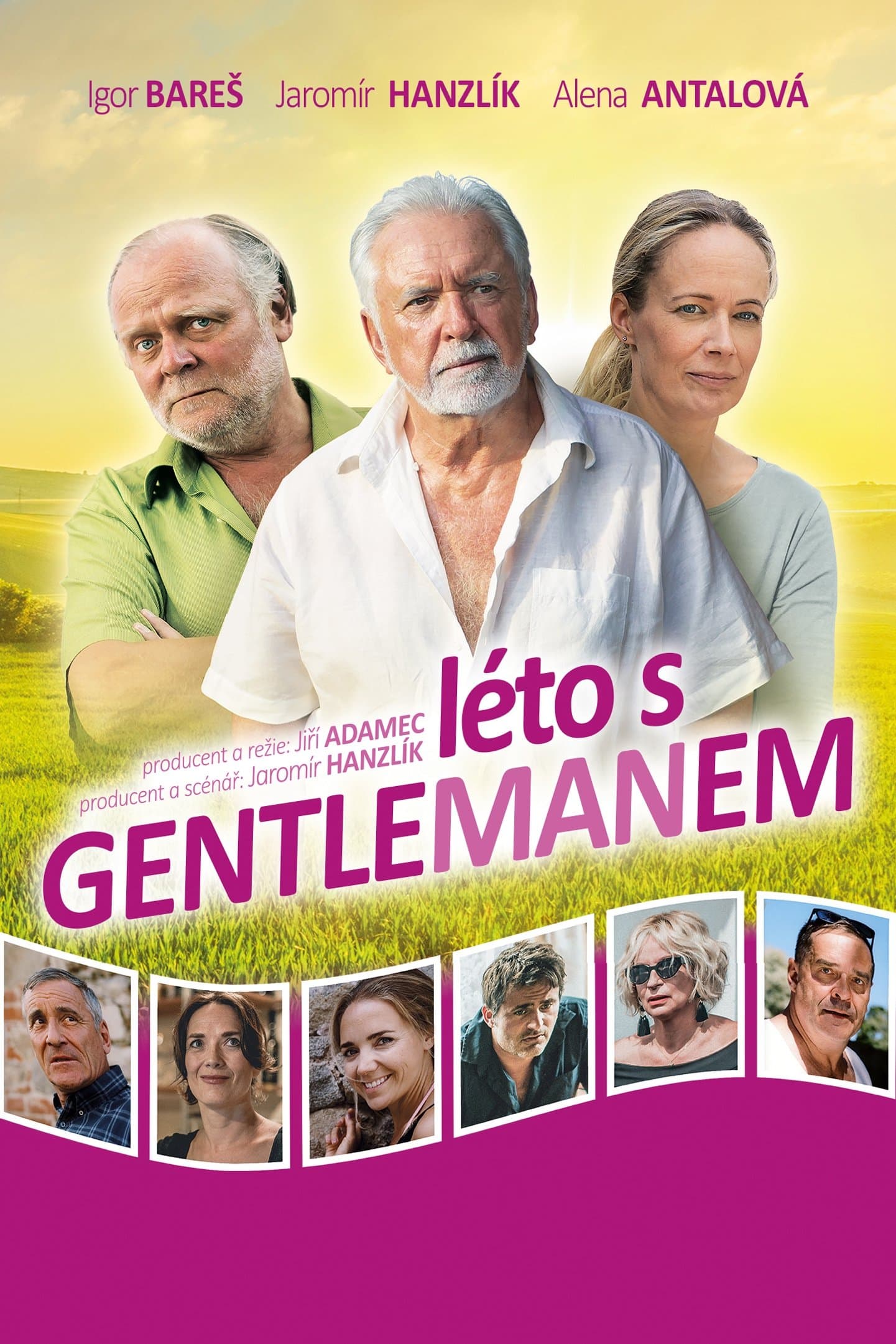 Poster Summer with the gentleman