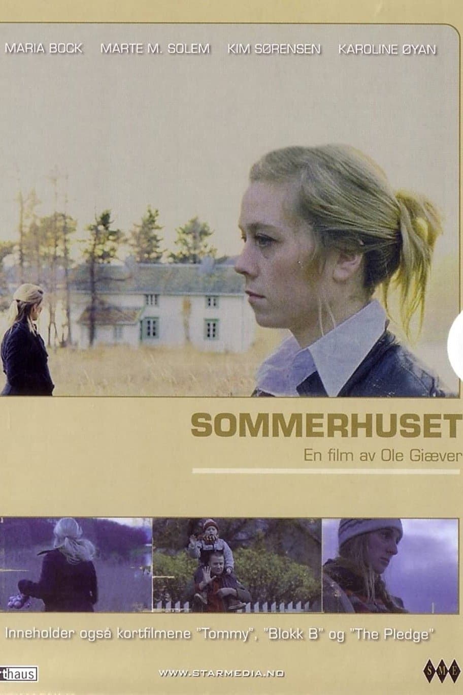 Poster Summers Past