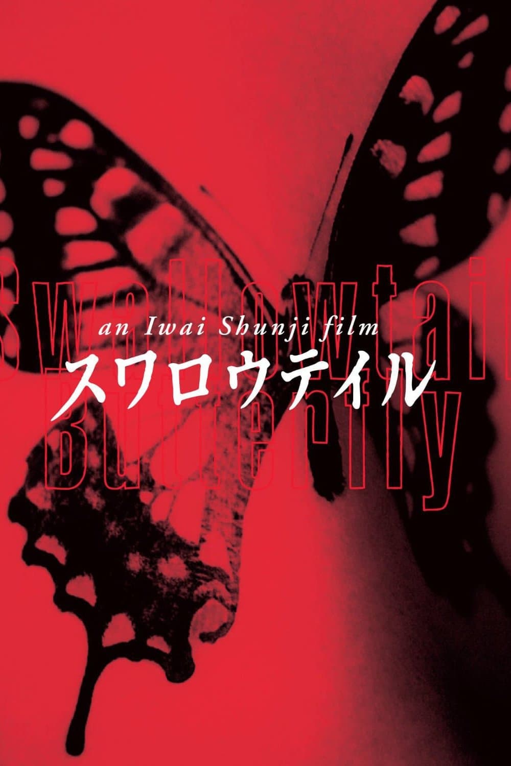 Poster Swallowtail Butterfly