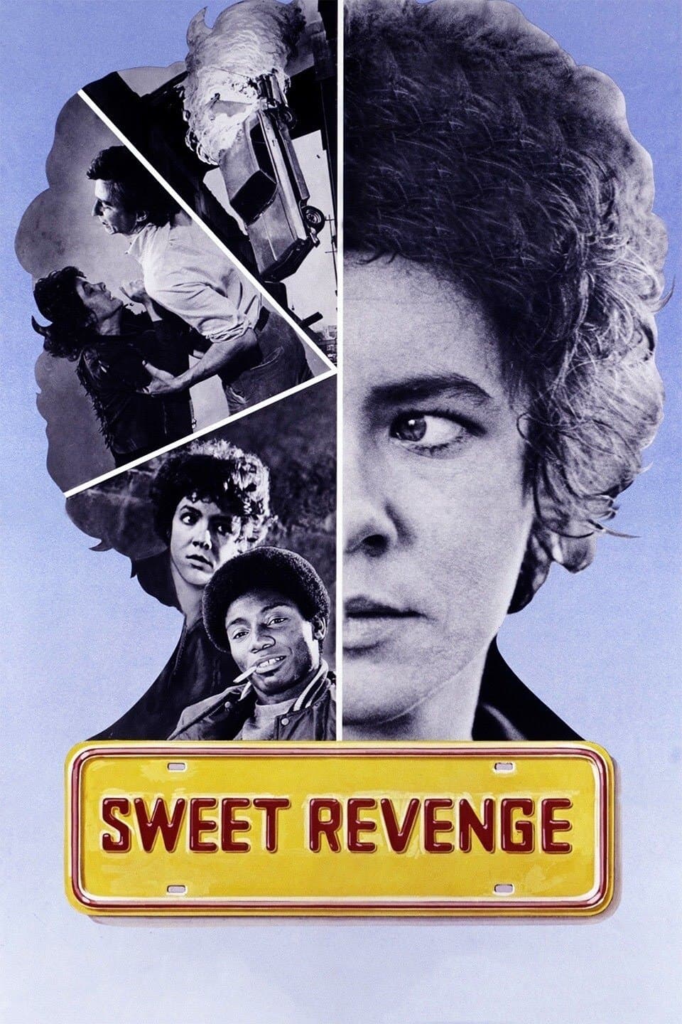 Poster Sweet Revenge