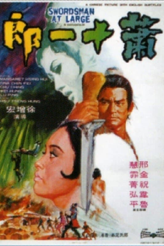 Poster Swordsman at Large