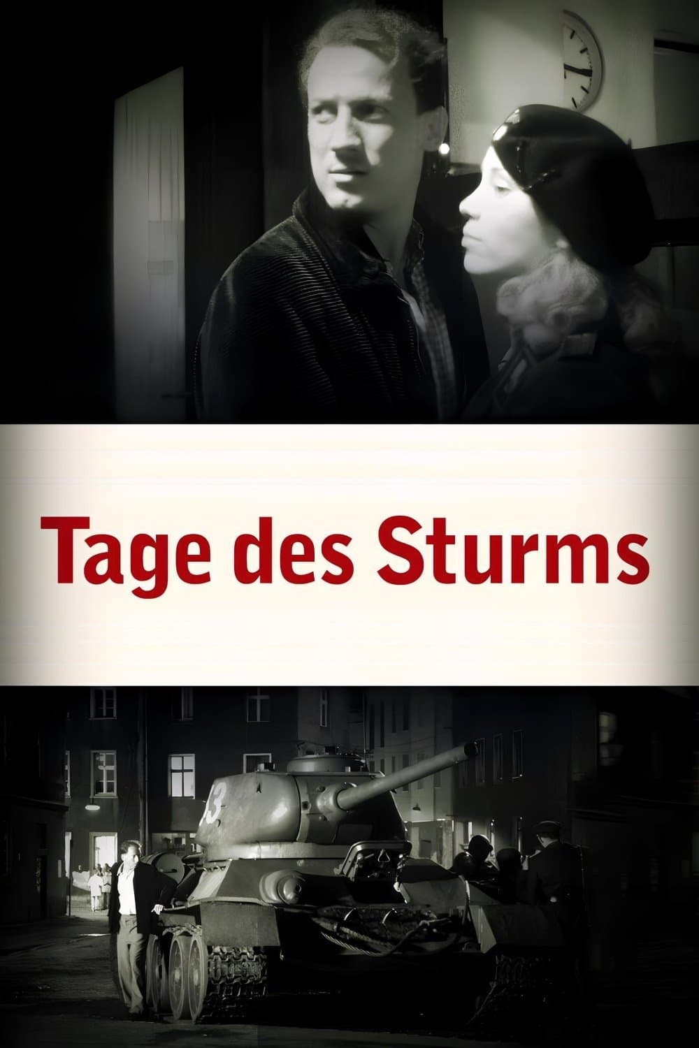 Poster Tage des Sturms