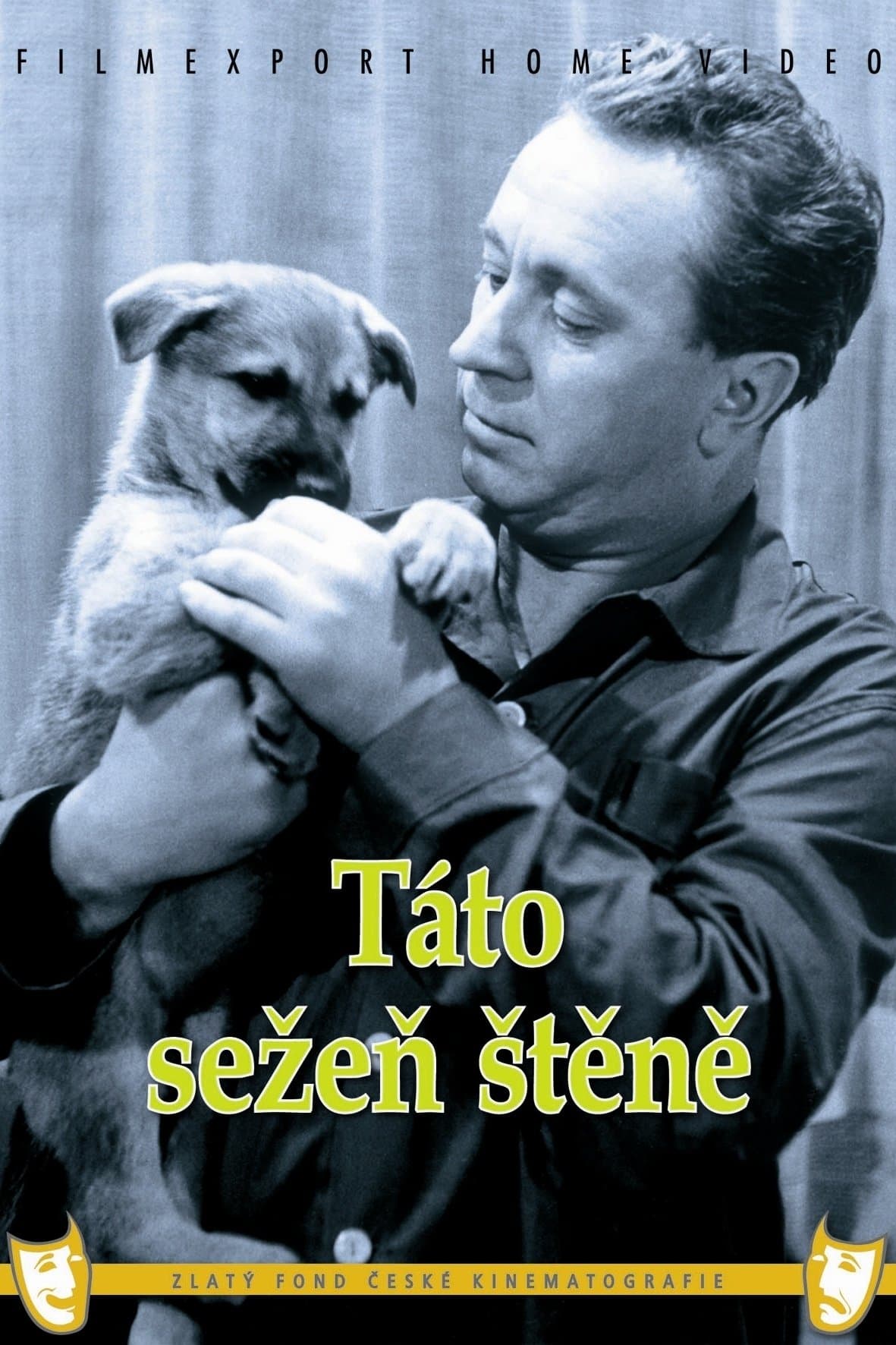 Poster Táto sežeň štěně