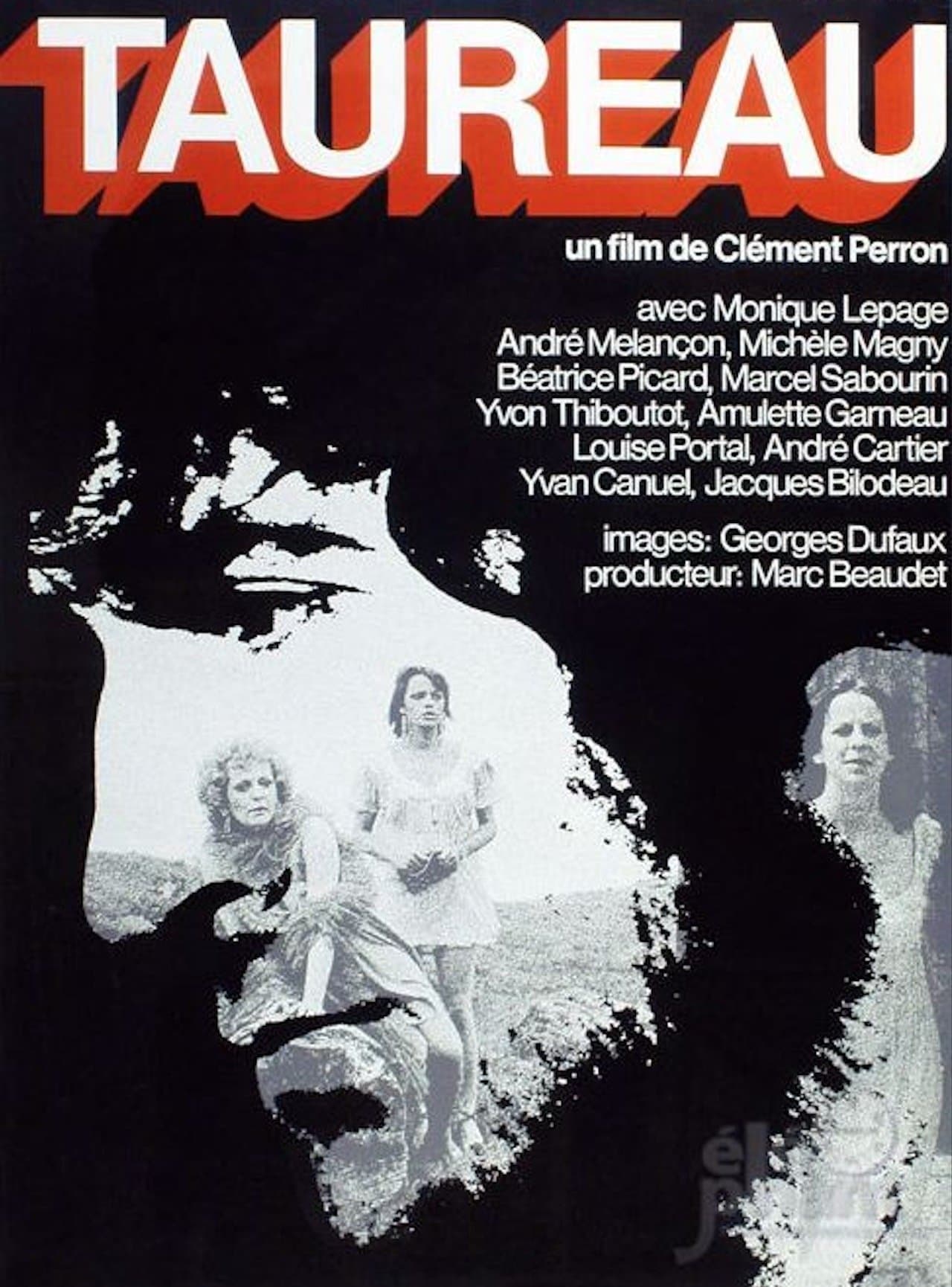 Poster Taureau