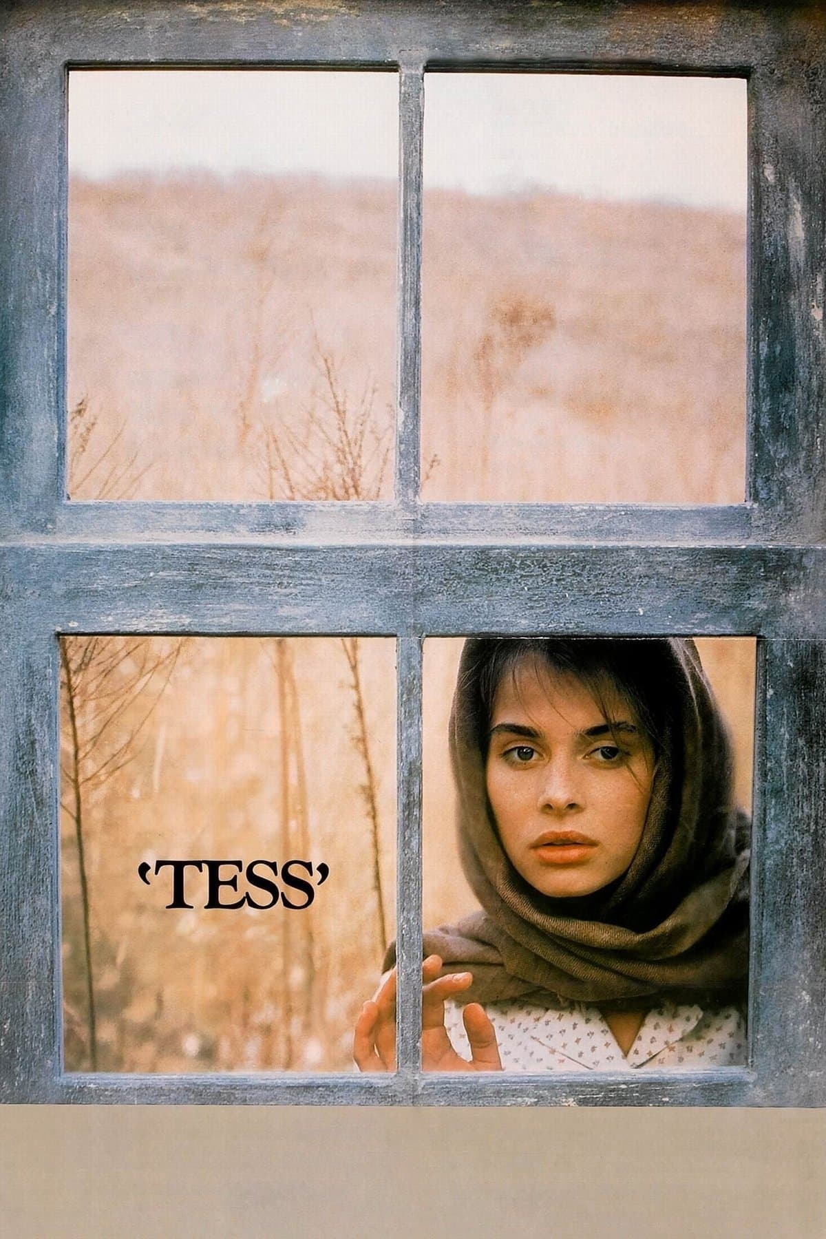 Poster Tess