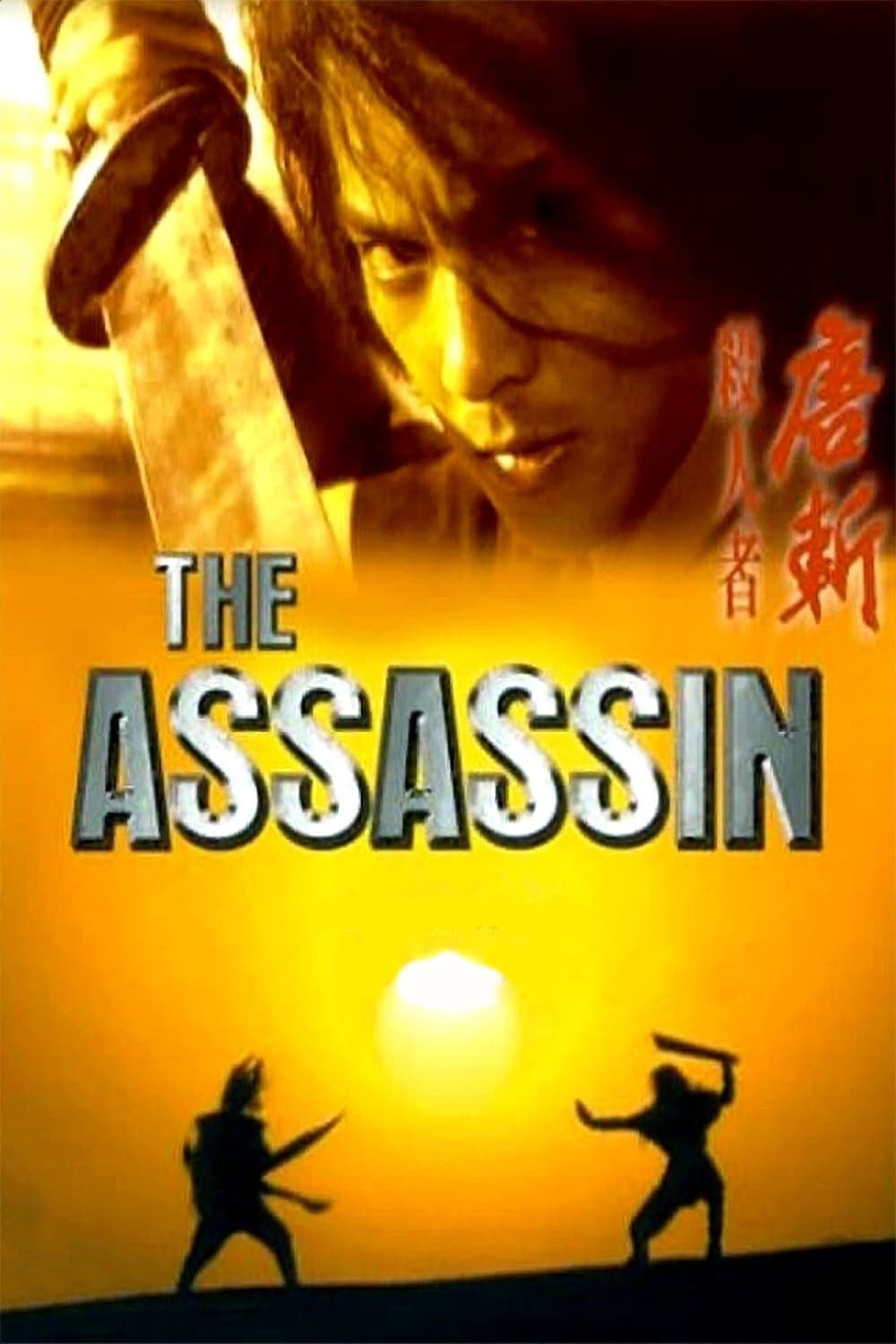 Poster The Assassin
