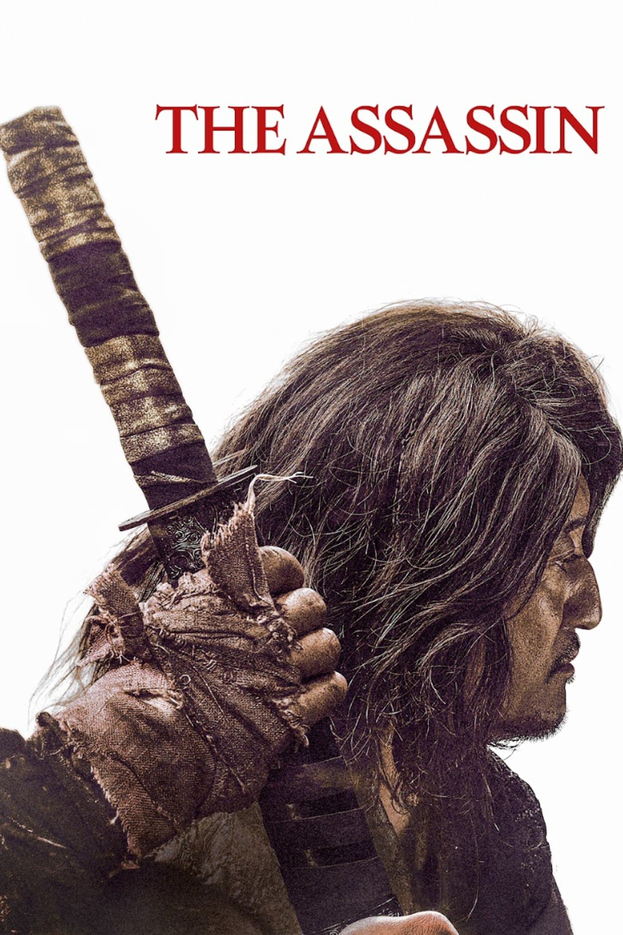 Poster The Assassin