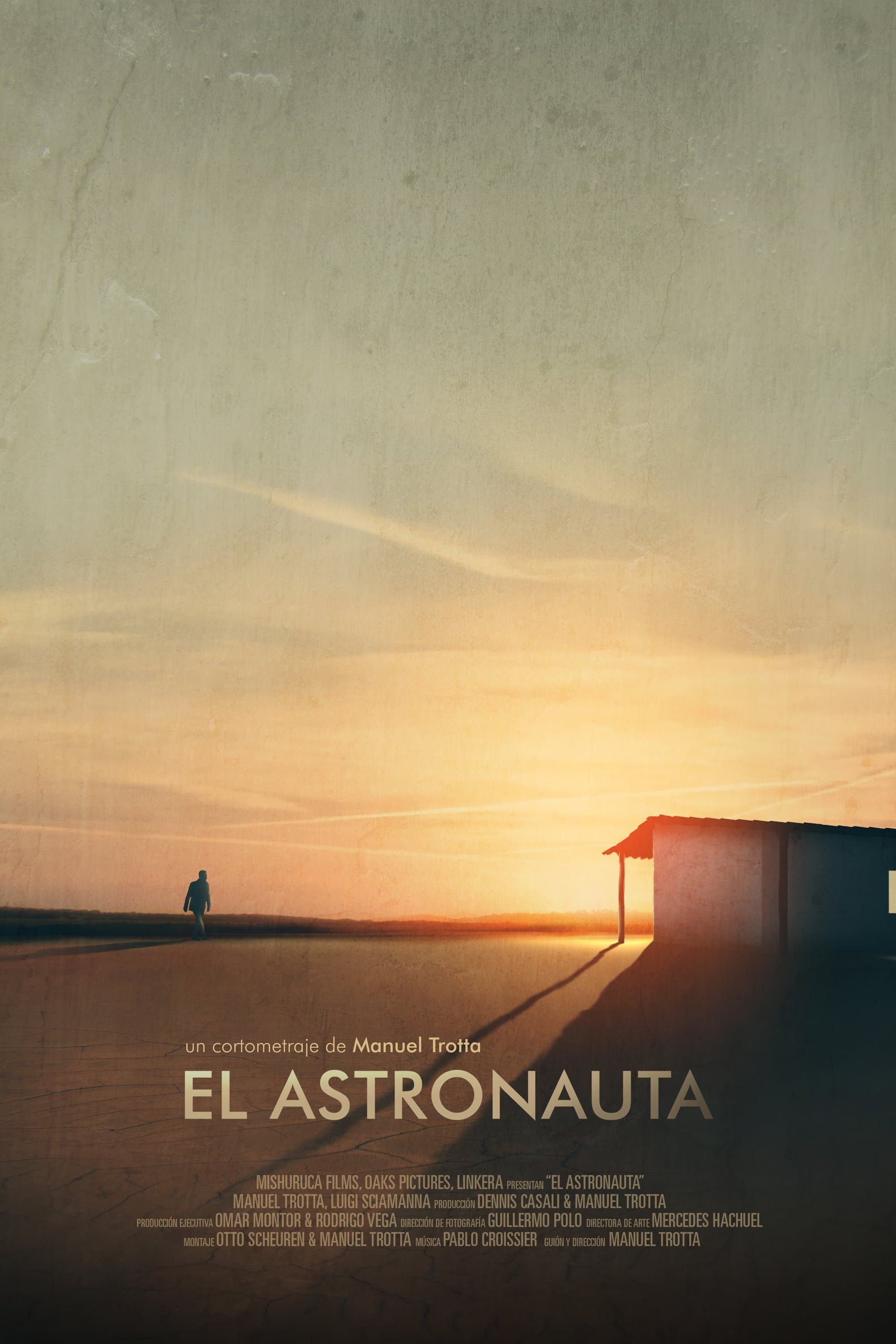Poster The Astronaut