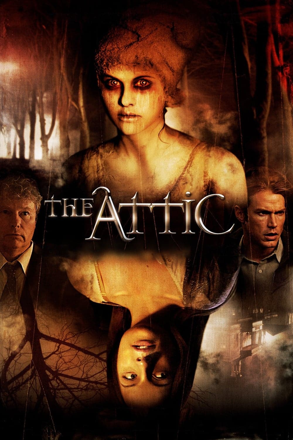 Poster The Attic