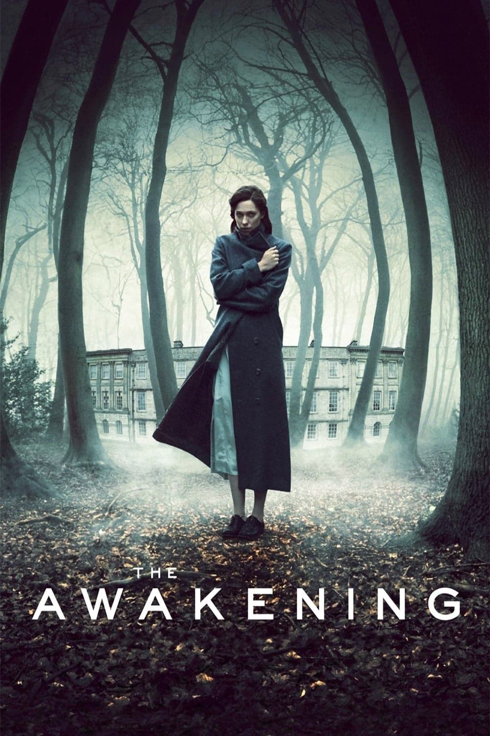 Poster The Awakening
