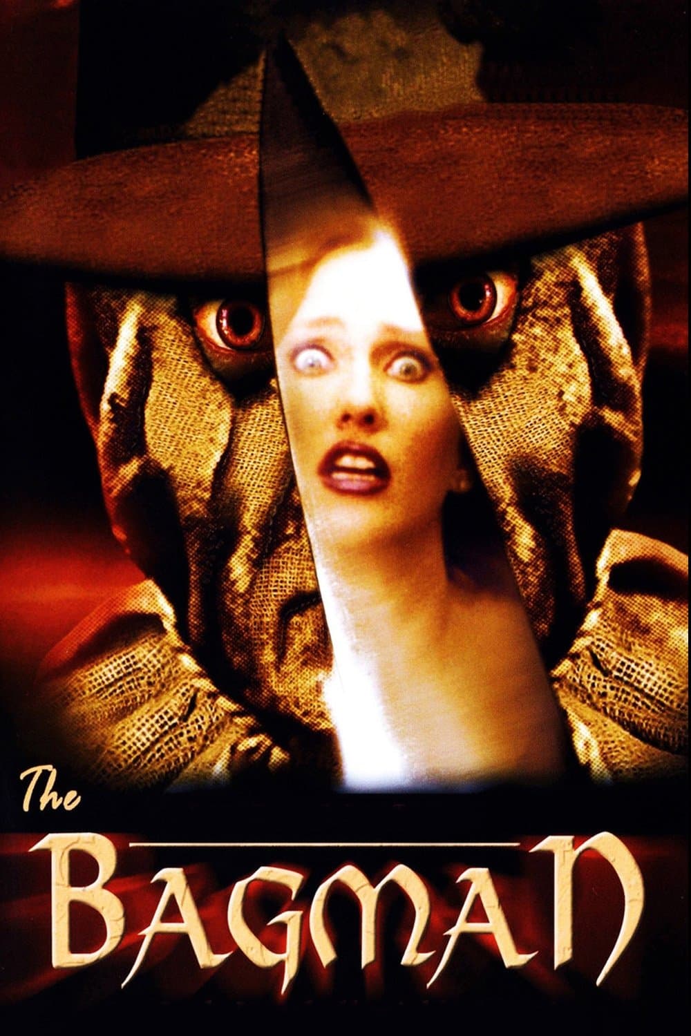 Poster The Bagman