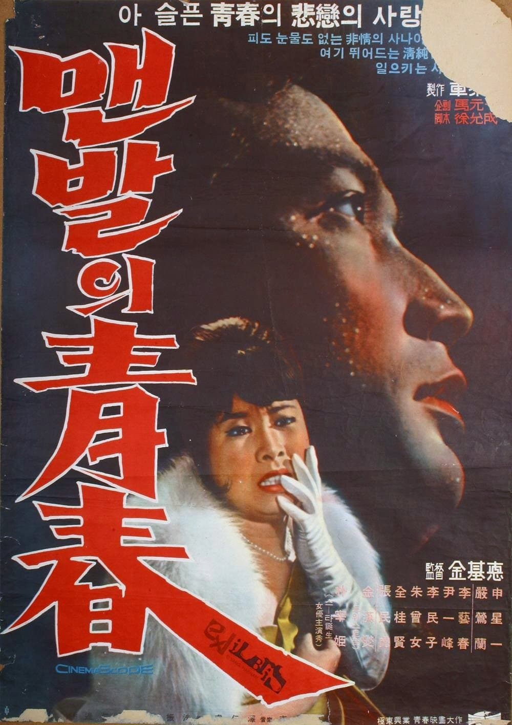 Poster The Barefooted Young