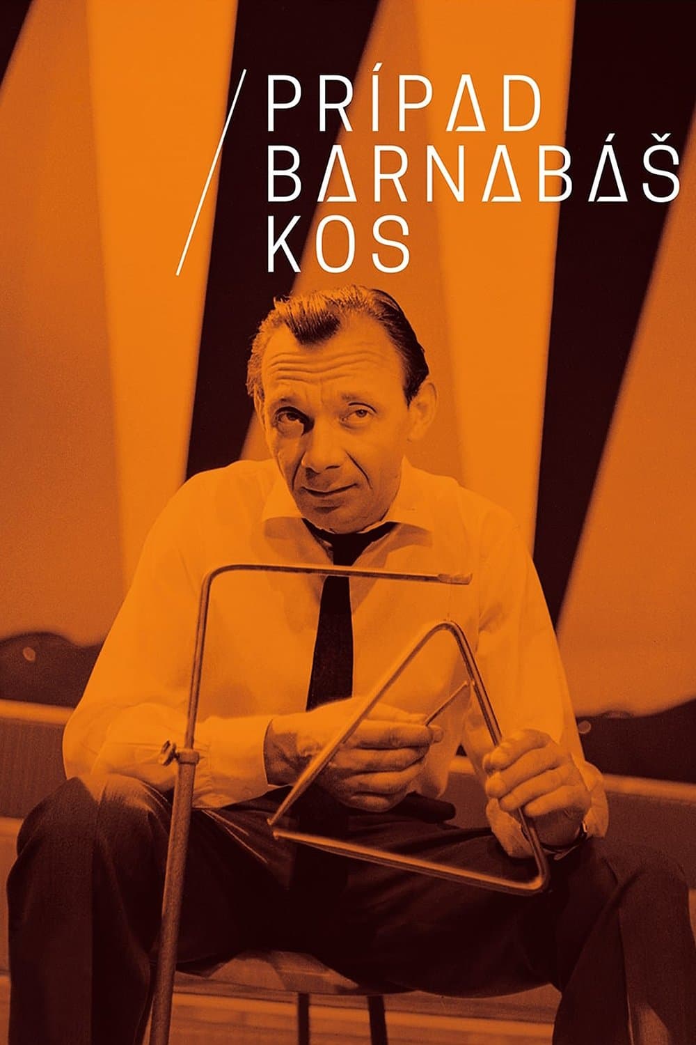 Poster The Barnabáš Kos Case