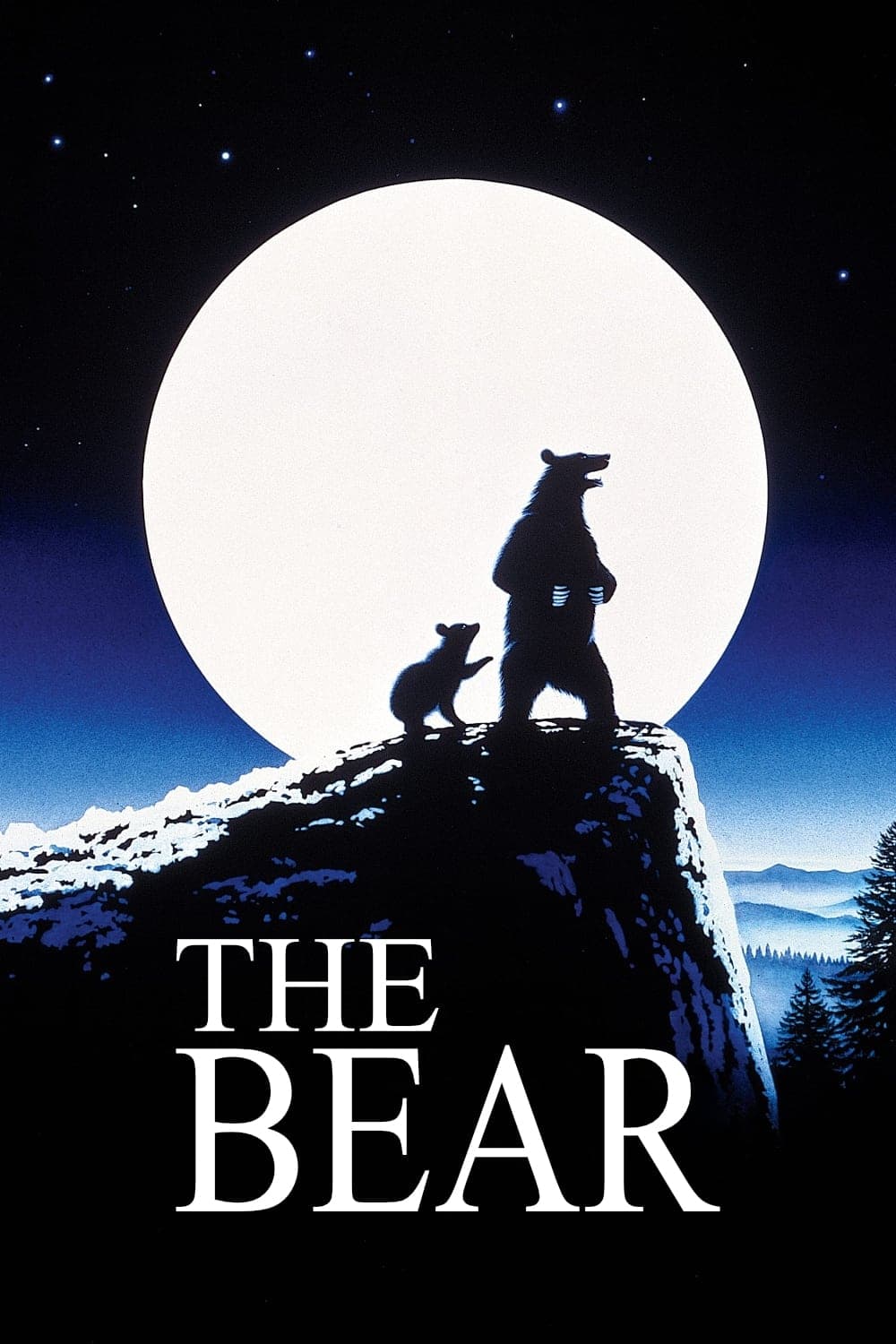 Poster The Bear