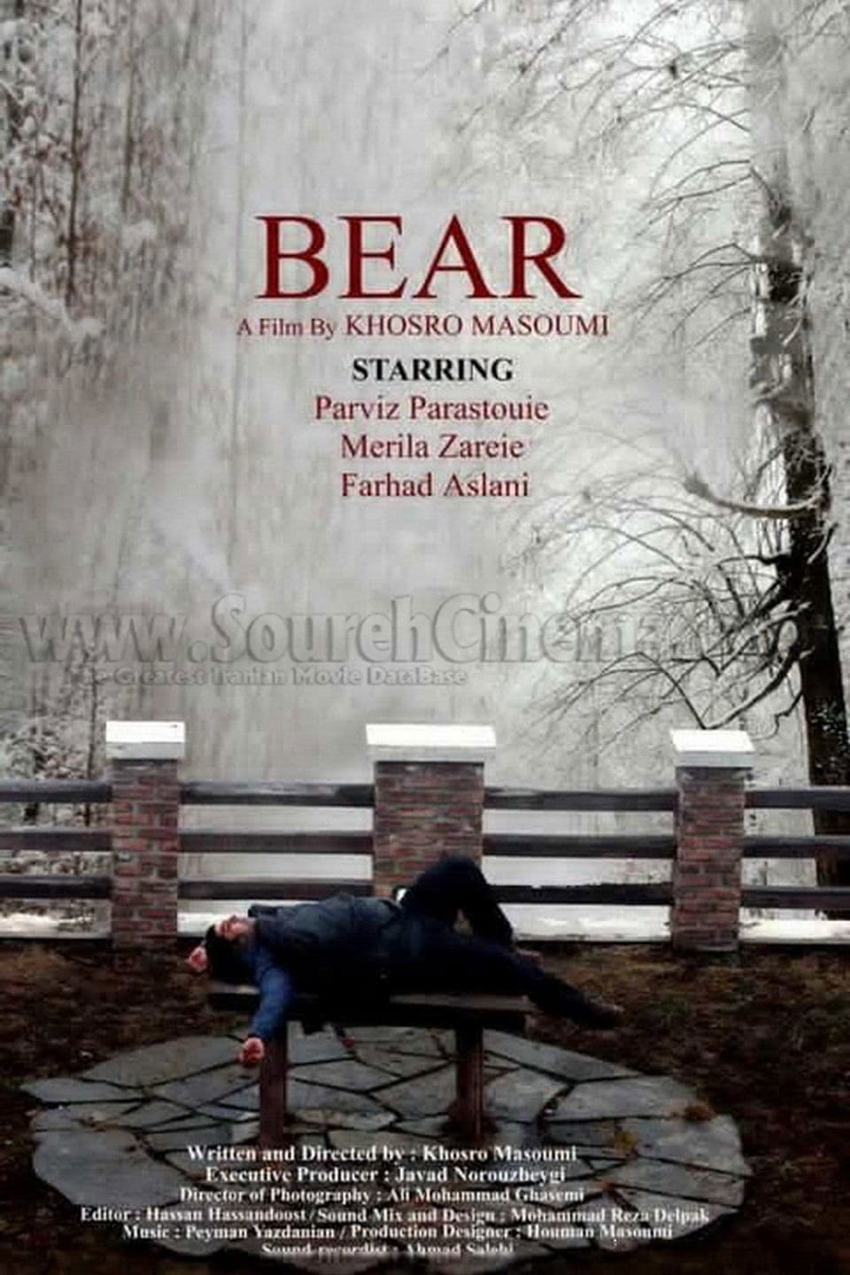 Poster The Bear