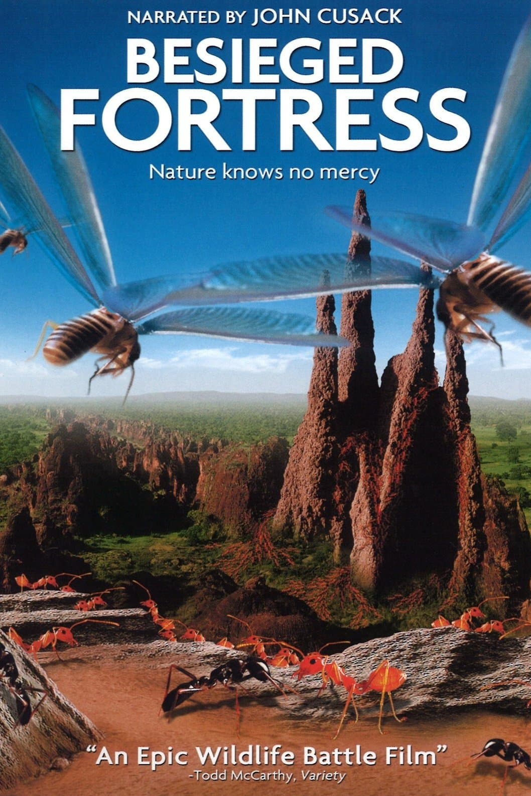 Poster The Besieged Fortress