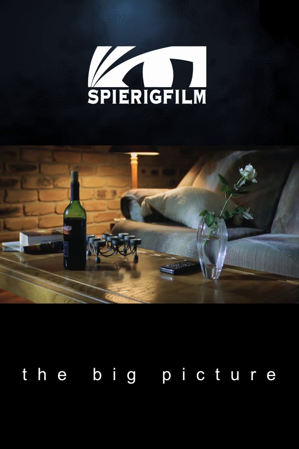 Poster The Big Picture