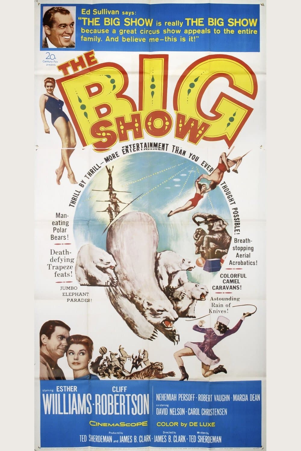 Poster The Big Show