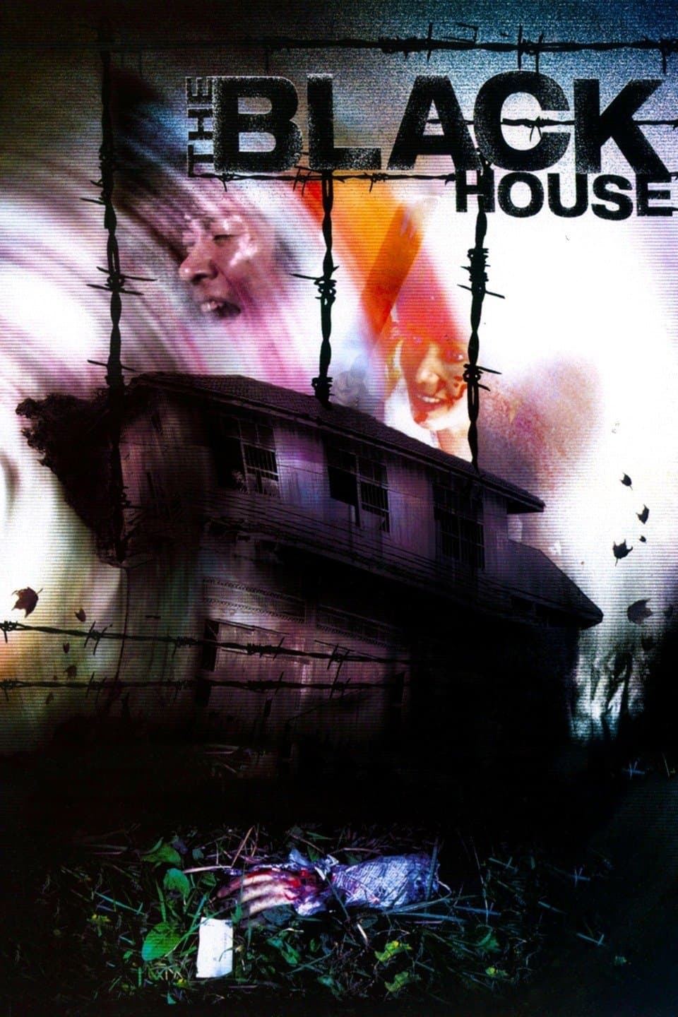 Poster The Black House
