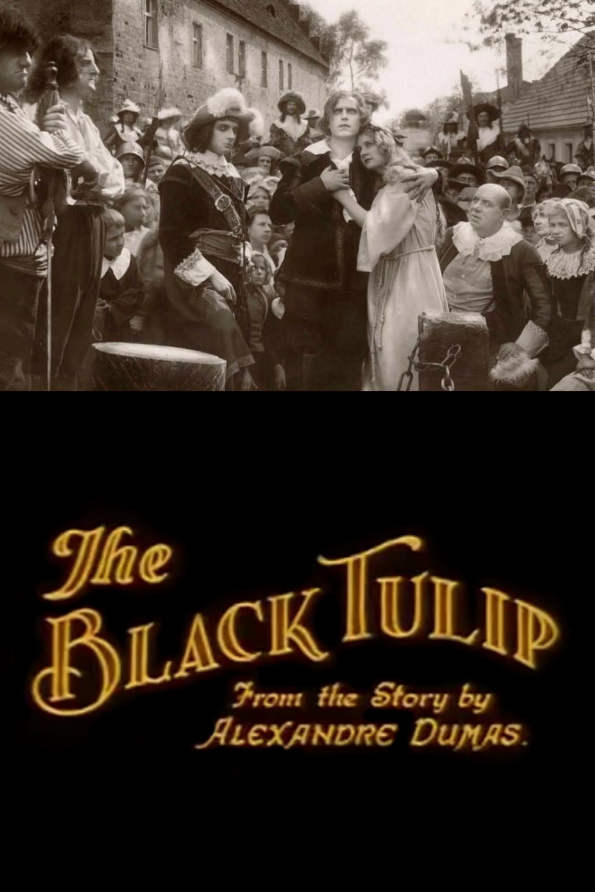 Poster The Black Tulip