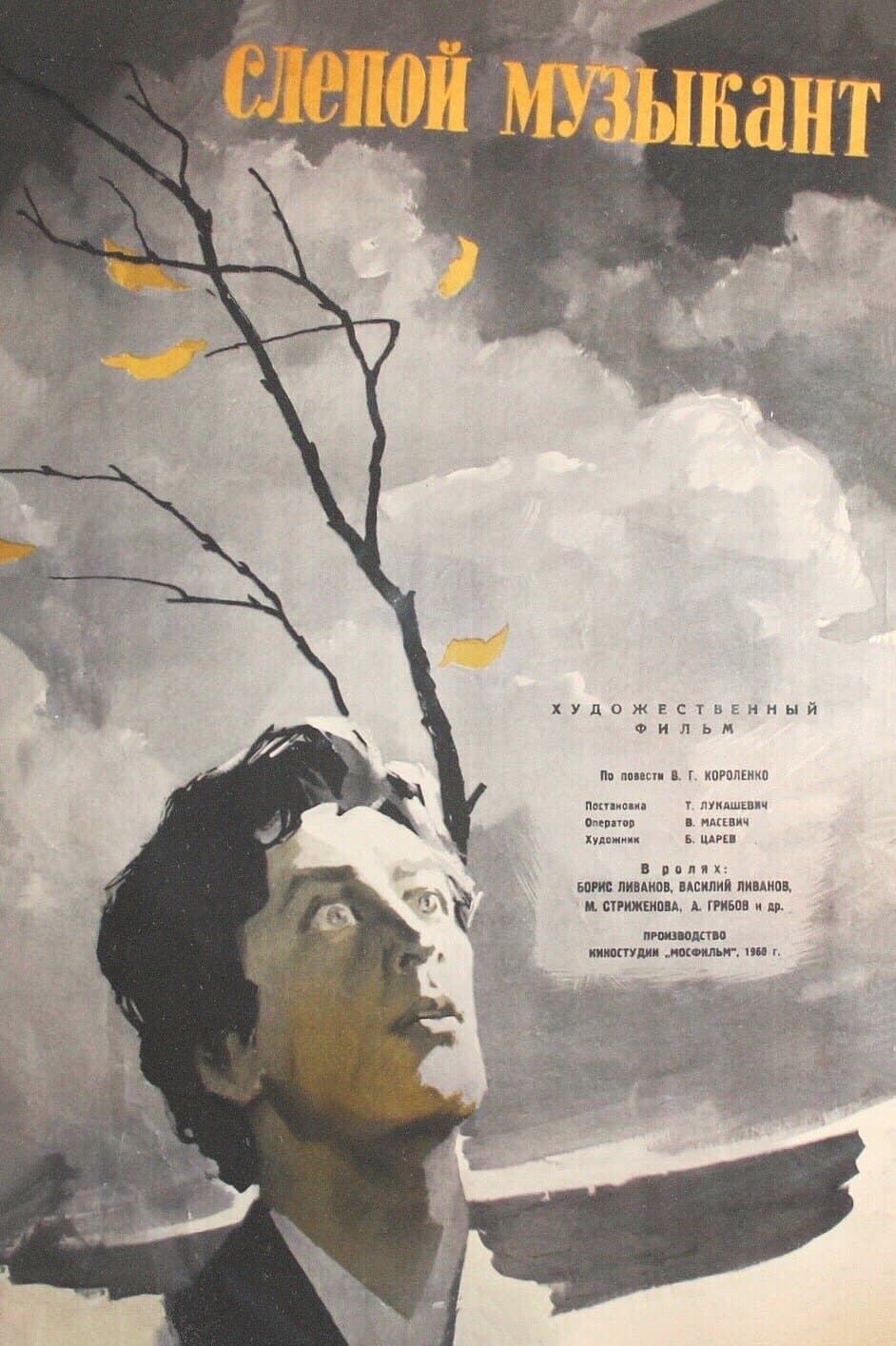 Poster The Blind Musician