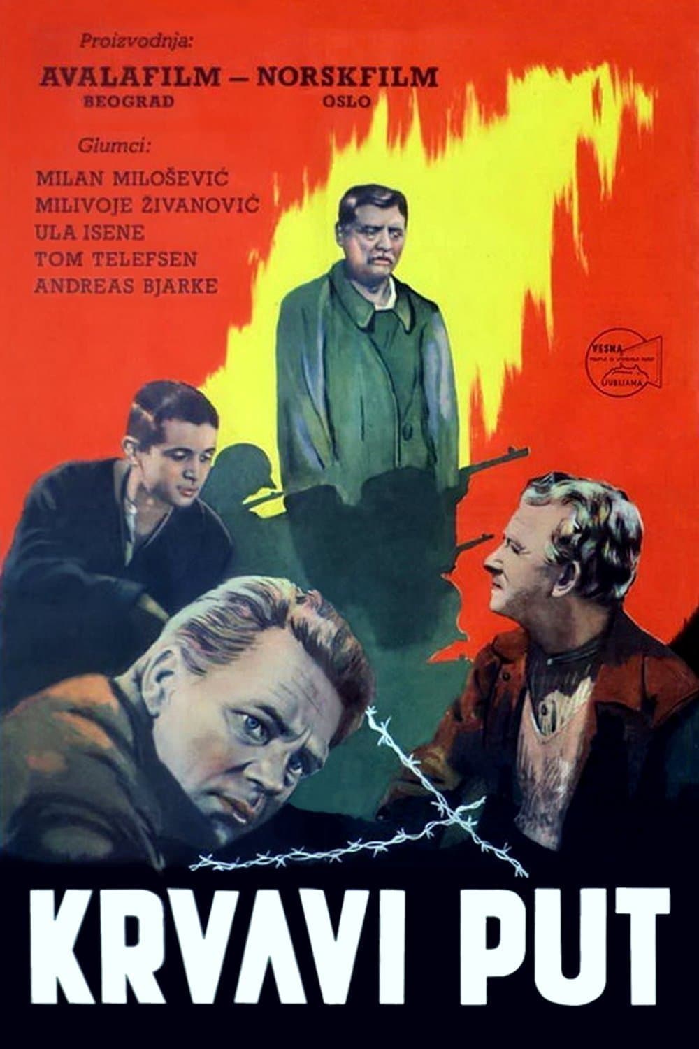 Poster The Blood Road