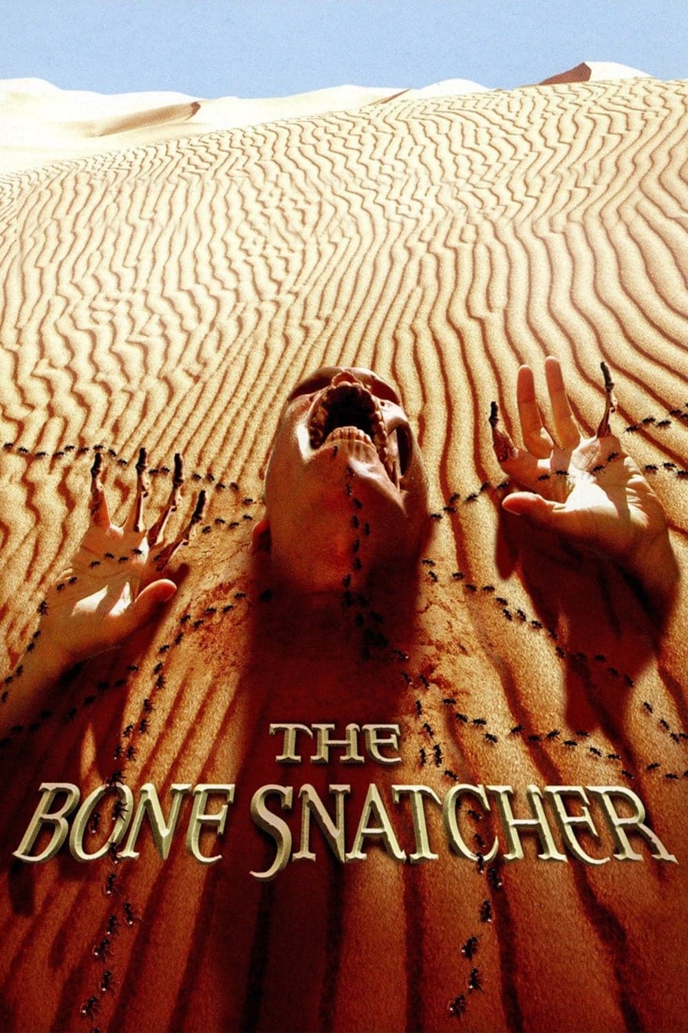 Poster The Bone Snatcher