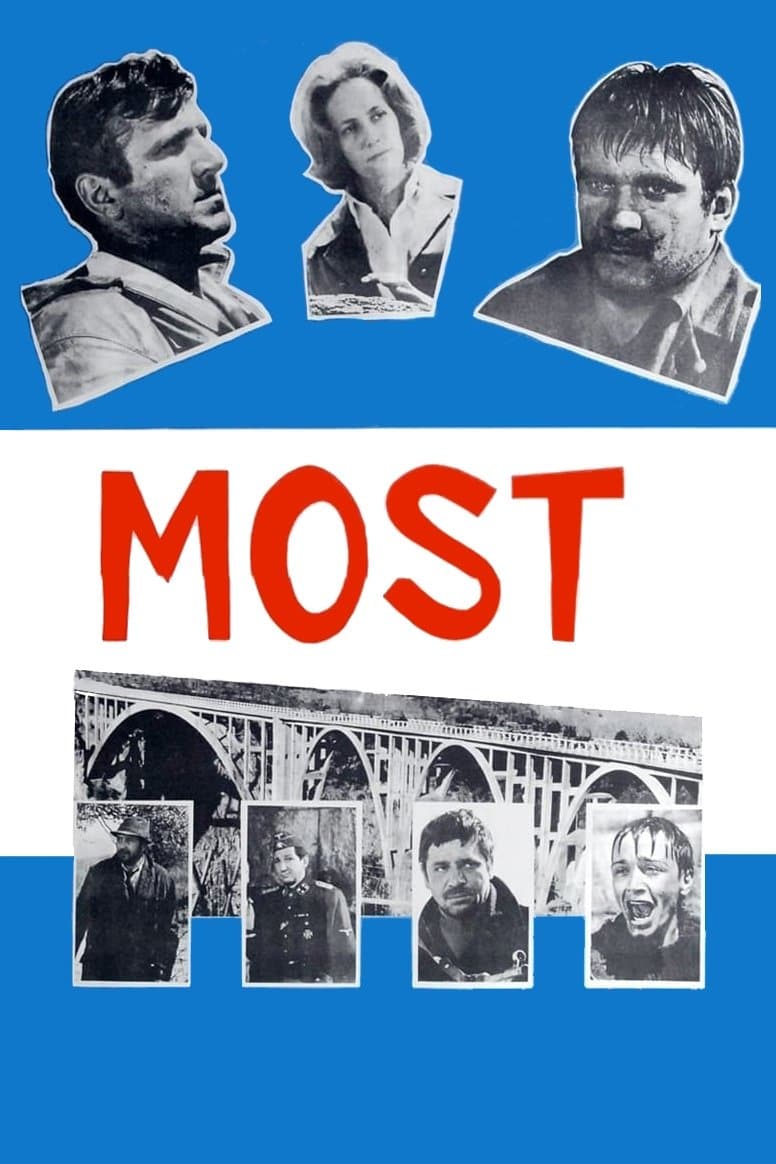Poster The Bridge