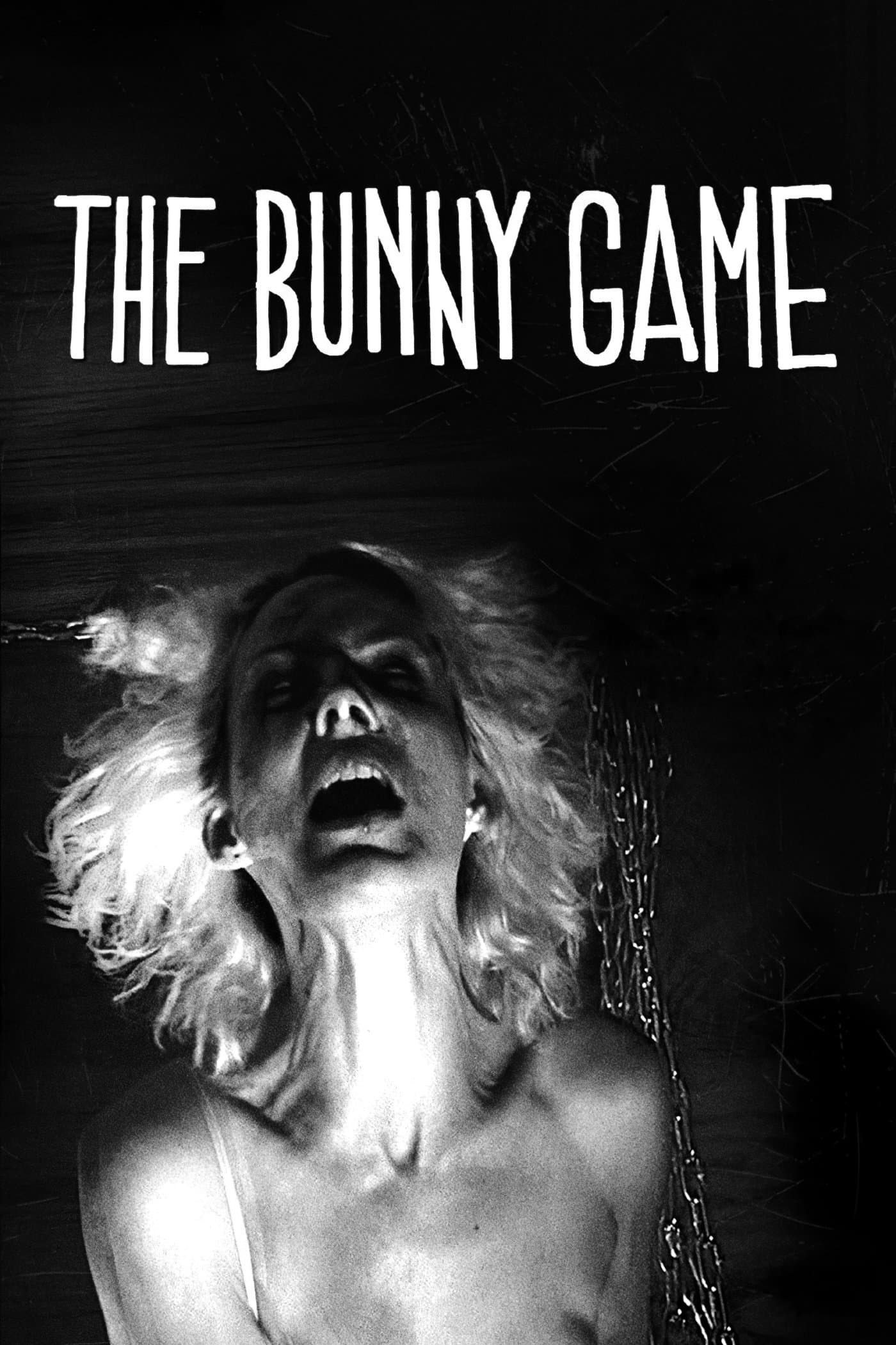 Poster The Bunny Game