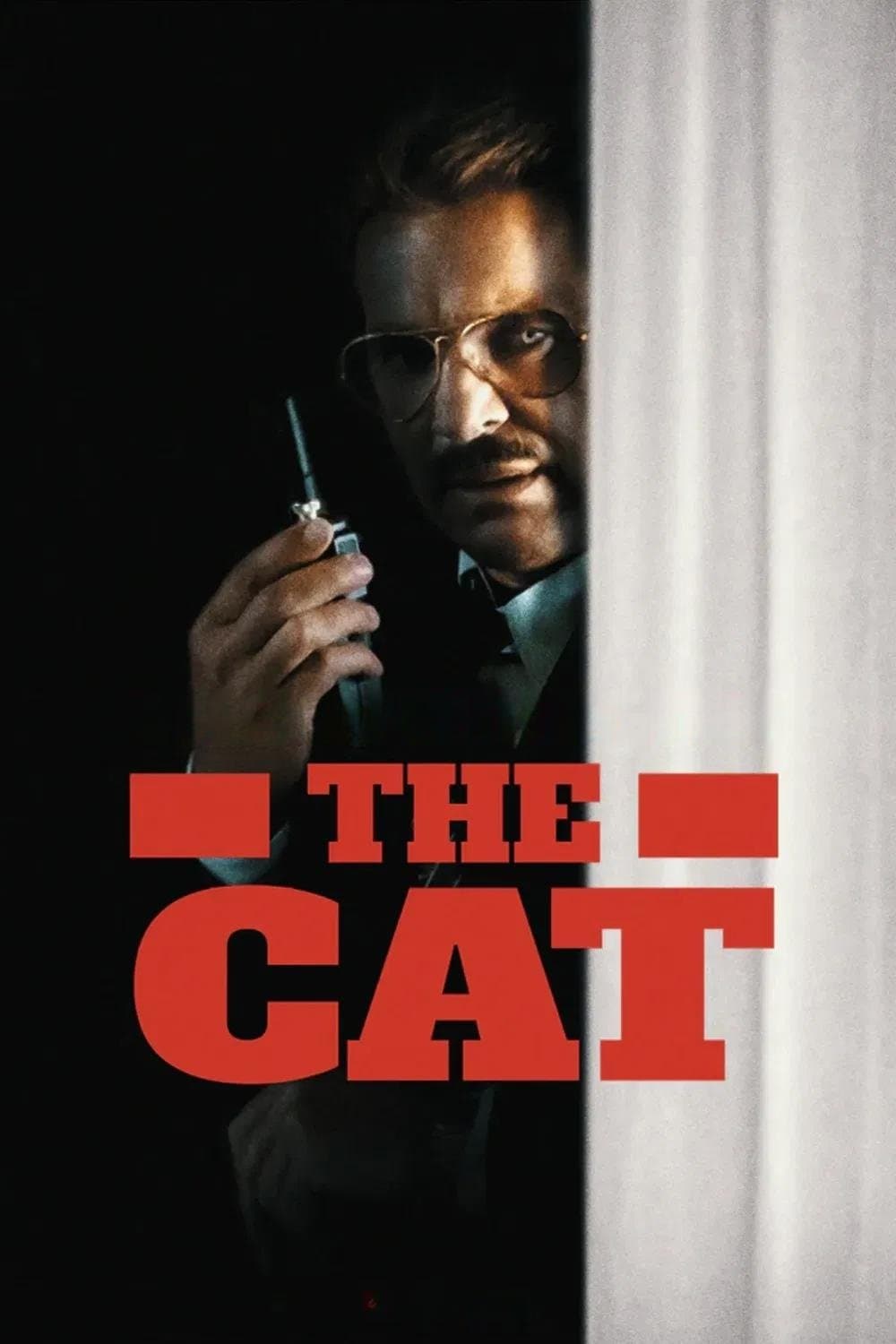 Poster The Cat