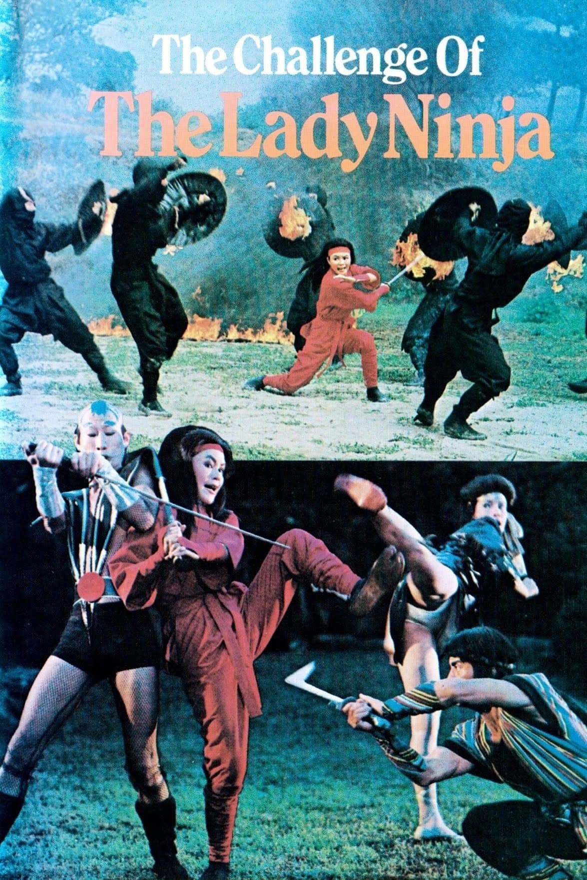 Poster The Challenge of the Lady Ninja