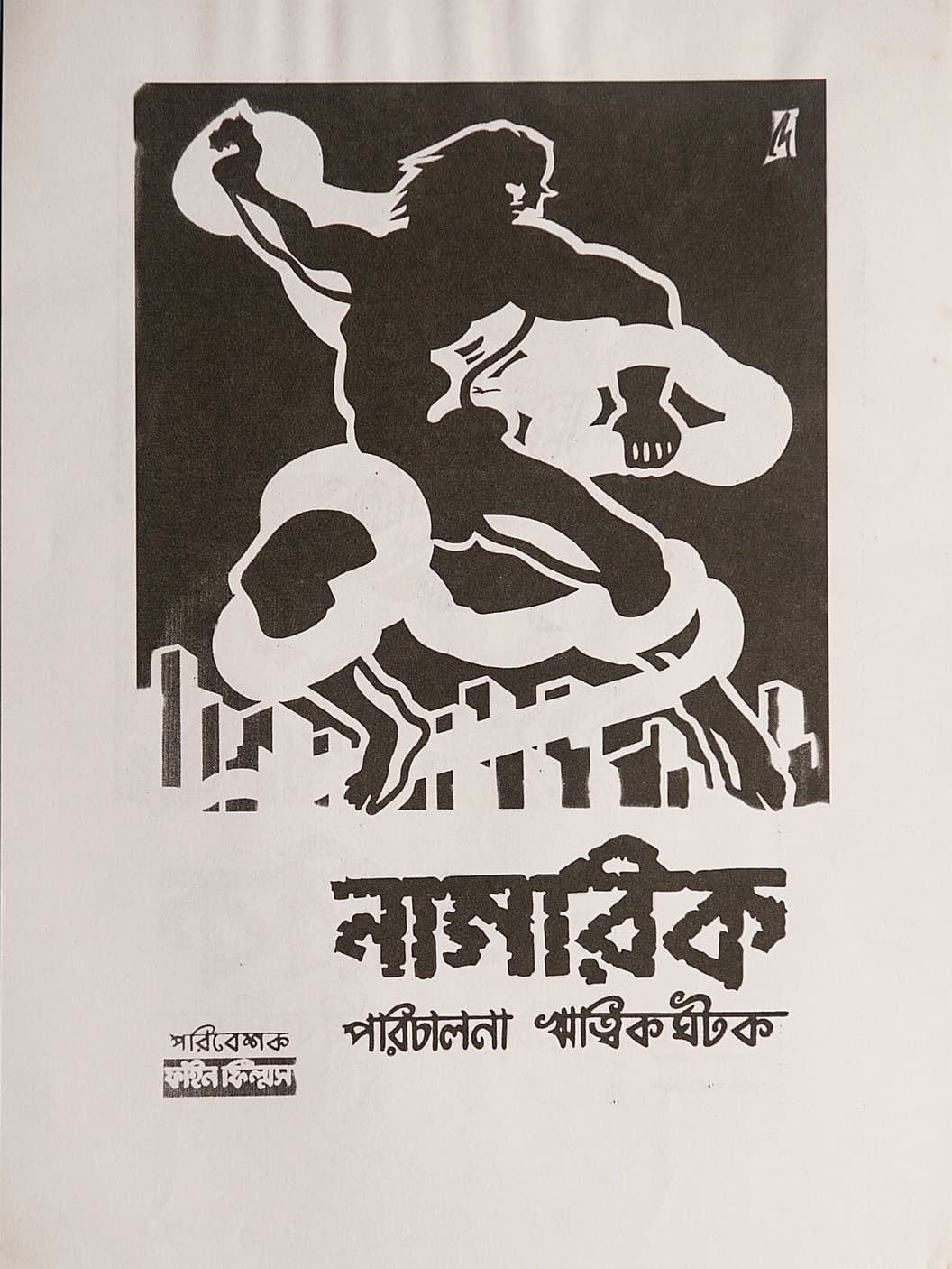 Poster The Citizen