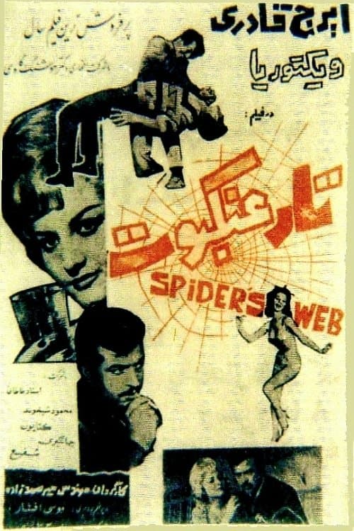 Poster The Cobweb