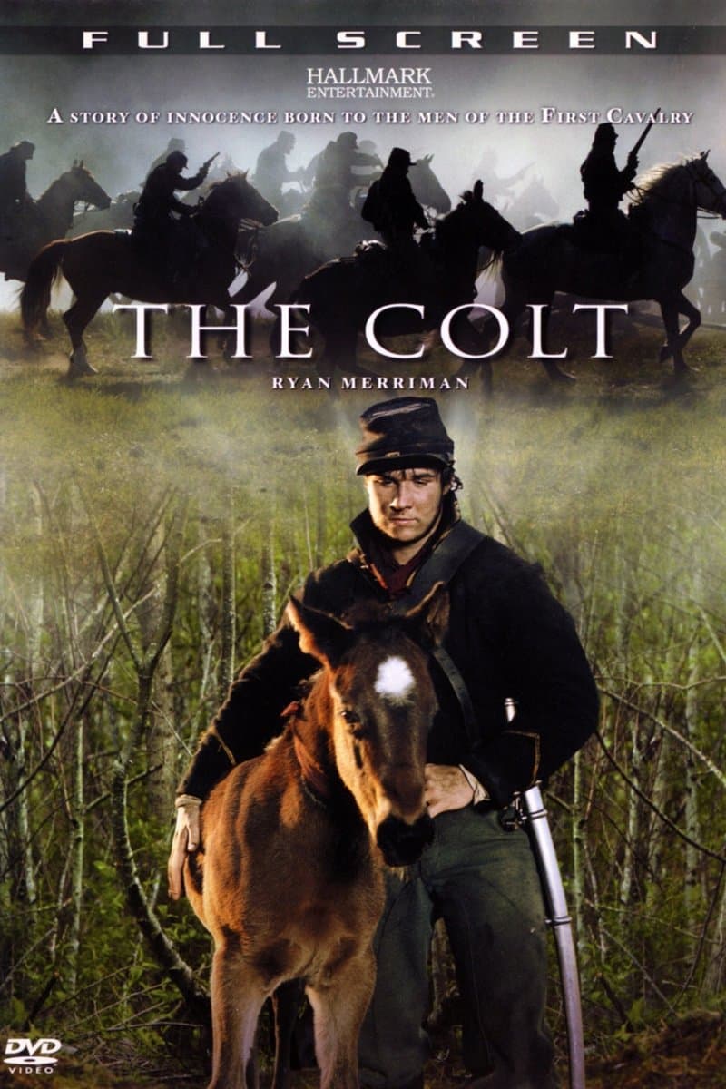 Poster The Colt