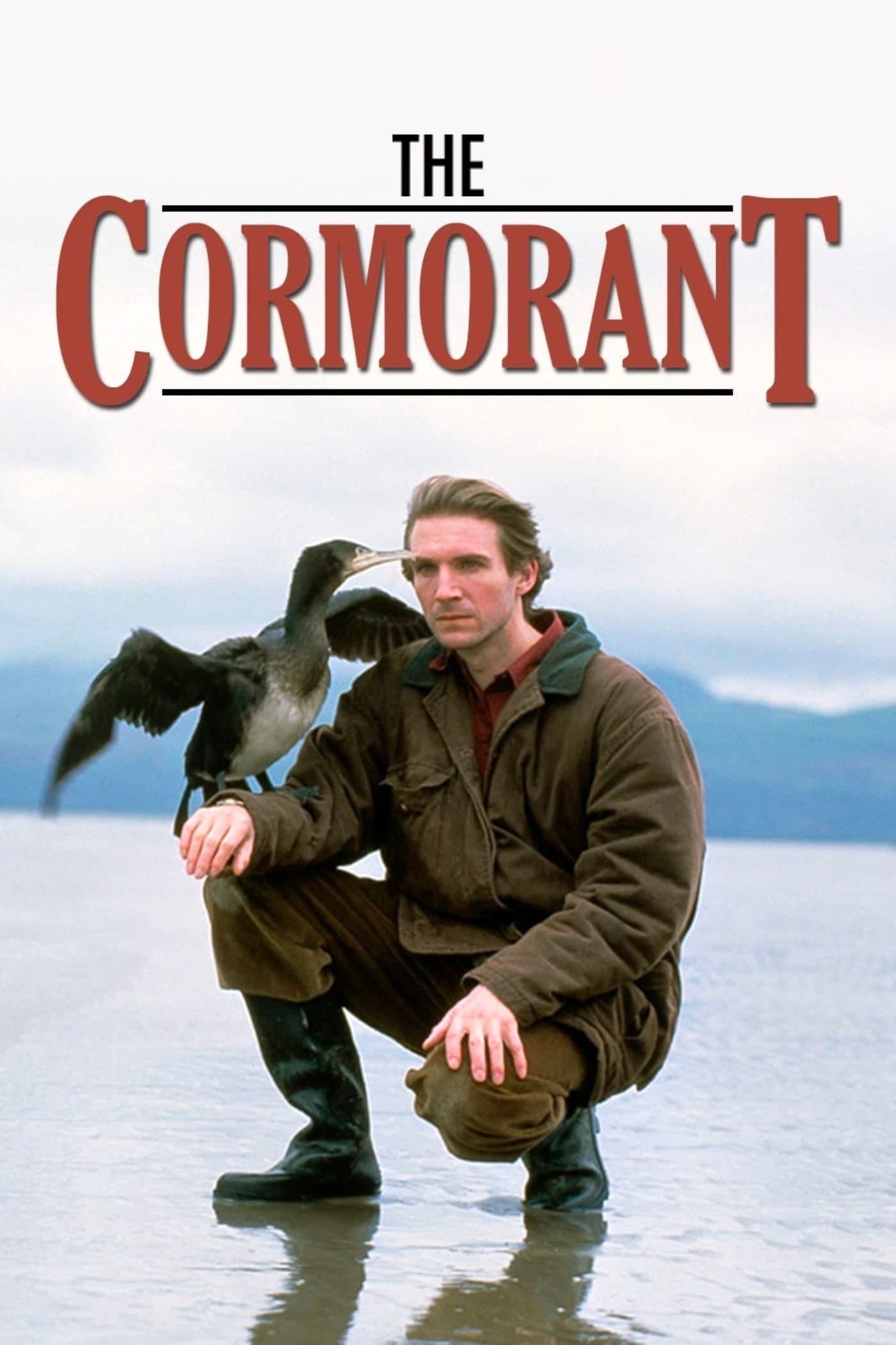 Poster The Cormorant